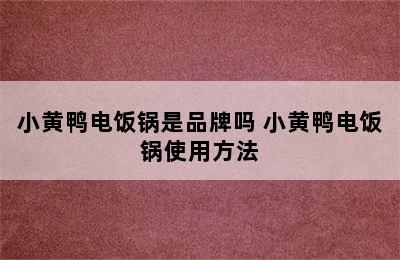 小黄鸭电饭锅是品牌吗 小黄鸭电饭锅使用方法